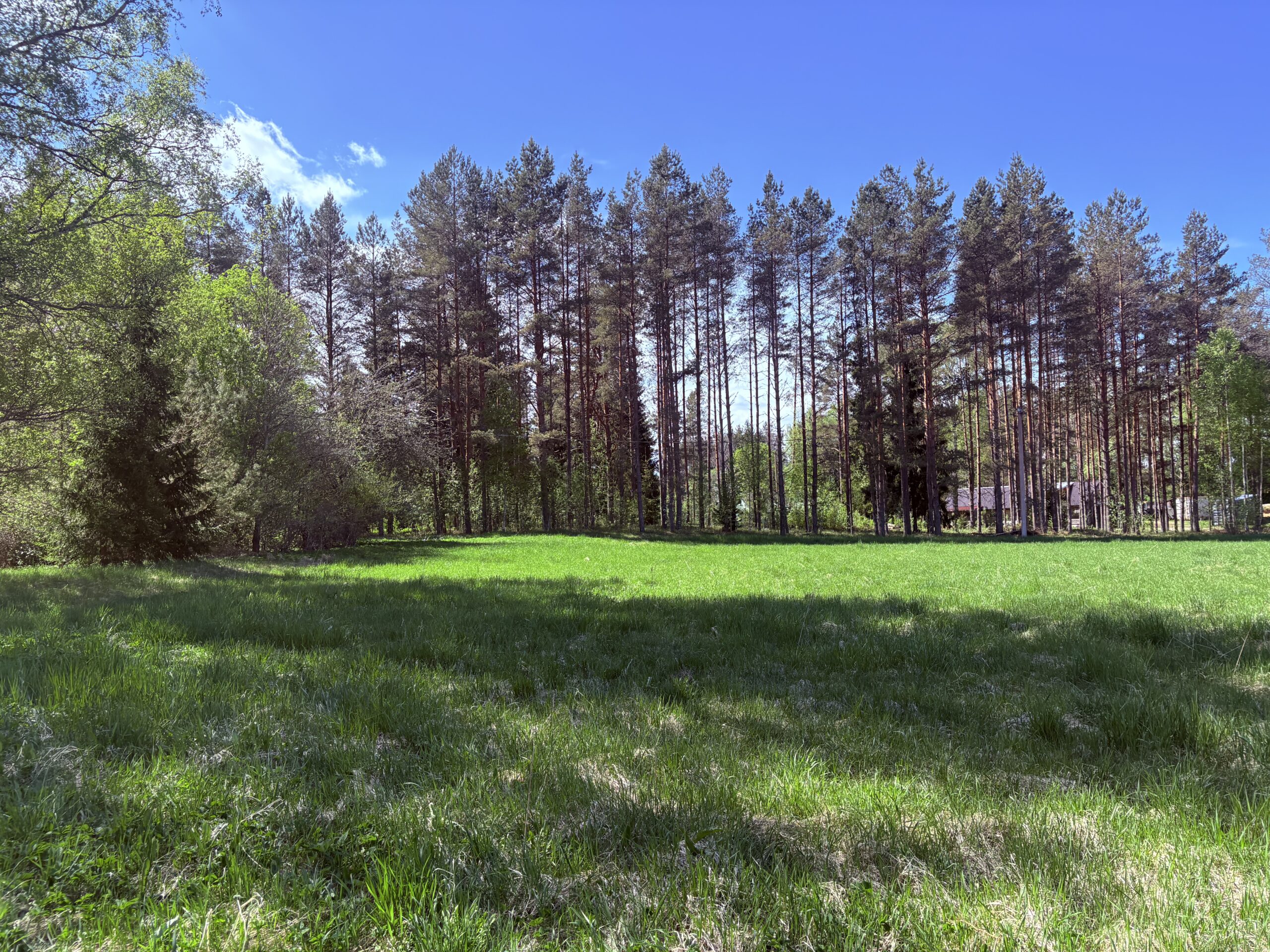 Müüa maatükk, elamumaa - Nõmmeri, Kose vald, Harjumaa - Image 10